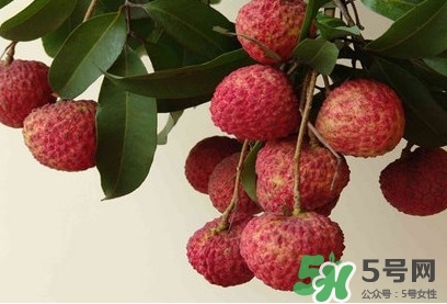 糯米糍荔枝多少錢一斤2017？糯米糍荔枝市場(chǎng)價(jià)格