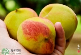 九仙桃什么時(shí)候成熟？九仙桃什么時(shí)候上市