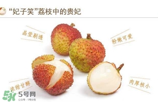 貴妃荔枝是哪里的？貴妃荔枝的產(chǎn)地是哪里