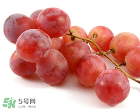 提子上的白色是什么？提子外面白色的是什么？