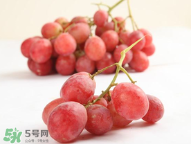 提子上的白色是什么？提子外面白色的是什么？