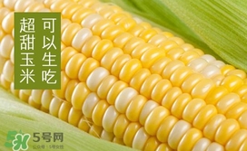 水果玉米是轉(zhuǎn)基因的嗎？水果玉米可以生吃嗎