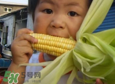 水果玉米是甜玉米嗎？水果玉米和甜玉米的區(qū)別