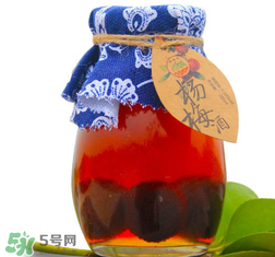 楊梅酒開封后能存放多久？楊梅酒開了能存放多久？