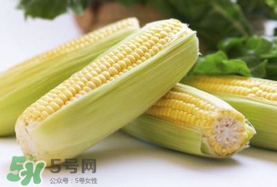 水果玉米可以多吃嗎？吃水果玉米有什么好處