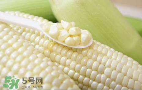 糯玉米是轉(zhuǎn)基因嗎？糯玉米是不是轉(zhuǎn)基因