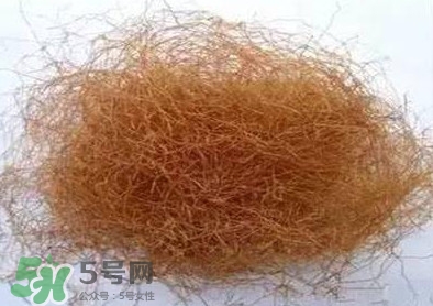 玉米須怎么吃降血糖？玉米須如何降血糖