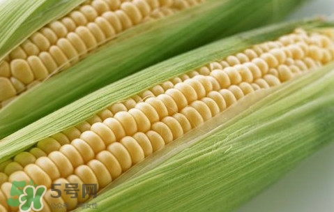 水果玉米熱量高嗎？一根水果玉米的熱量是多少