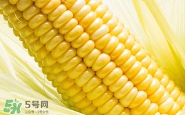 水果玉米是轉(zhuǎn)基因的嗎？水果玉米可以生吃嗎