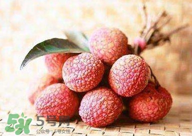 貴妃荔枝是哪里的？貴妃荔枝的產(chǎn)地是哪里