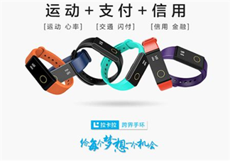 拉卡拉手環(huán)多少錢？拉卡拉手環(huán)價(jià)格
