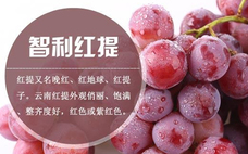 紅提會不會上火 紅提上火能吃嗎