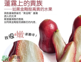 黑金剛蓮霧好吃嗎？黑金剛蓮霧多少錢一斤2017？