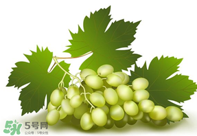 青提不能和什么一起吃？青提哪些人不能吃？