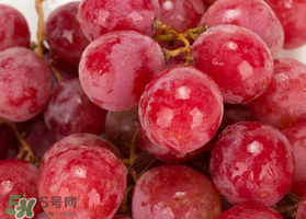 提子什么季節(jié)成熟？提子什么時候上市？