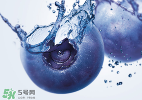 藍莓熱量高嗎？藍莓醬熱量高嗎？