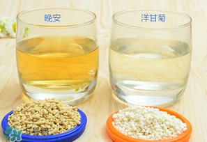美林菊花晶一天喝幾次？美林菊花晶一天喝多少？