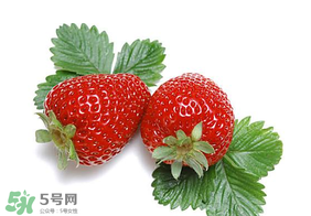 夏天有草莓嗎？夏天草莓結(jié)果嗎？