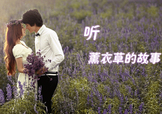 六月份還有薰衣草嗎？6月份哪里有薰衣草？