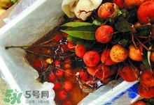 荔枝為什么要用藥水泡？荔枝藥水浸泡是否安全？