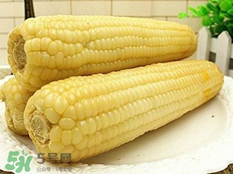 糯玉米怎么保存時間長？新鮮的糯玉米如何保存