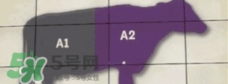 A2奶粉斷貨用什么奶代替最合適？與A2奶粉相近的奶是什么