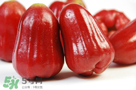 黑珍珠蓮霧多少錢(qián)一斤2017？黑珍珠蓮霧產(chǎn)地是哪里