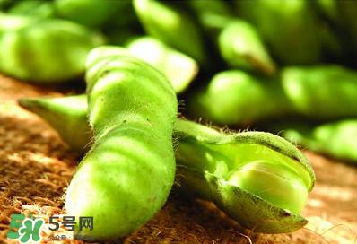 六月份可以種毛豆嗎？六月份毛豆怎么種植？