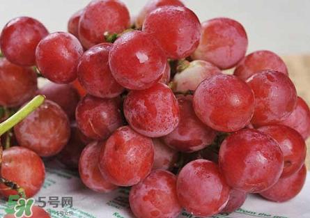 提子為什么會(huì)澀？提子澀怎么辦是沒(méi)熟嗎？
