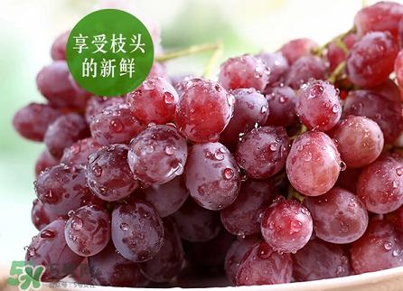 提子為什么會(huì)澀？提子澀怎么辦是沒(méi)熟嗎？
