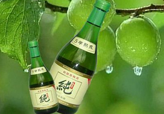 青梅酒泡多久可以喝？青梅酒好喝嗎？