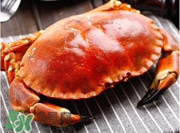 面包蟹什么時(shí)候最肥？面包蟹幾月份最肥