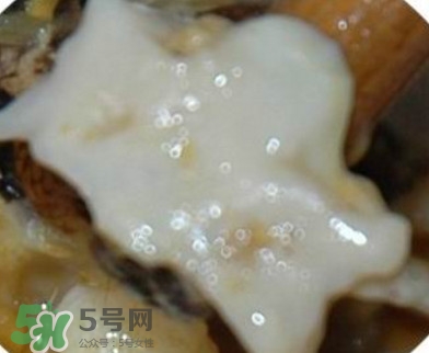 面包蟹是哪里產(chǎn)的？面包蟹哪里不能吃圖解