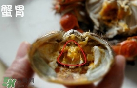 面包蟹是哪里產(chǎn)的？面包蟹哪里不能吃圖解