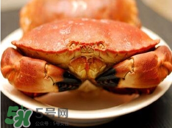 熟凍面包蟹怎么解凍？熟凍面包蟹要怎么清洗