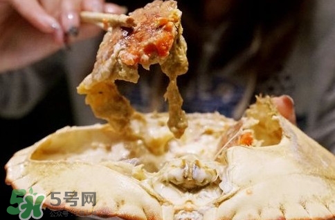 面包蟹什么季節(jié)吃最好？面包蟹什么時候最有黃