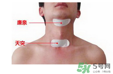 三伏貼貼在什么位置？三伏貼貼哪里？