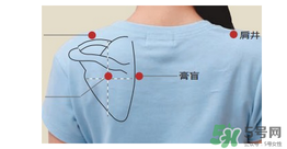 三伏貼貼在什么位置？三伏貼貼哪里？