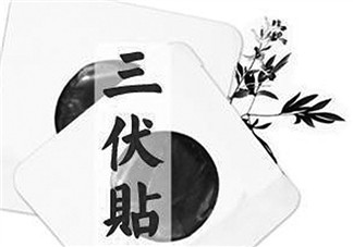 貼三伏貼注意事項(xiàng) 貼三伏貼要注意什么？