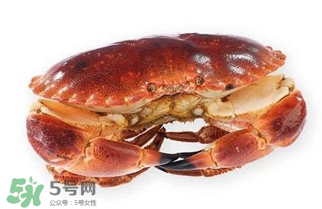 怎么判斷面包蟹是否新鮮？怎樣鑒別面包蟹的質(zhì)量好壞