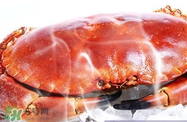 速凍面包蟹如何處理？活面包蟹怎么處理清洗