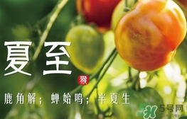 夏至是什么意思？夏至的習俗有哪些