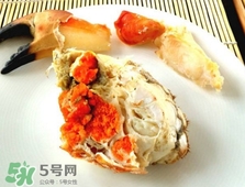 面包蟹是黃道蟹嗎？黃道蟹和面包蟹一樣嗎