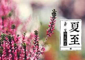夏至是什么意思？夏至的習(xí)俗有哪些