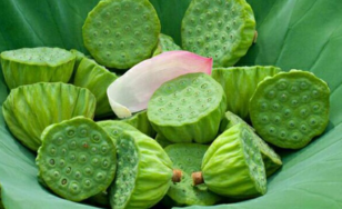 新鮮蓮子什么時候有？新鮮蓮子幾月有？