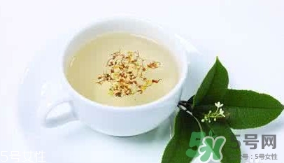 葛根茶多少錢一盒？2017葛根茶價(jià)格