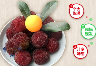 楊梅泡酒能放多久？楊梅酒保質(zhì)期
