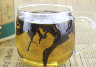 杜仲茶怎么泡？杜仲茶怎么喝