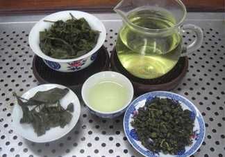 杜仲茶哪些人不適宜喝？杜仲茶飲用注意事項