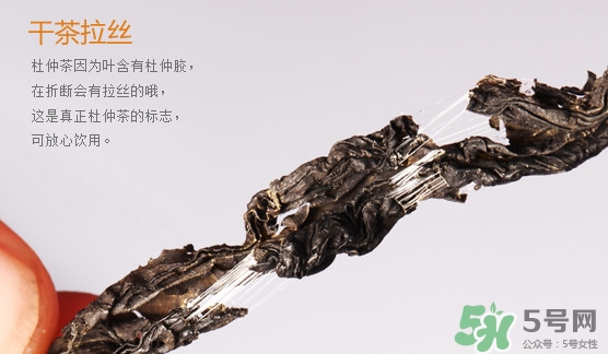 杜仲茶每天喝多少合適？杜仲茶喝多有什么不好